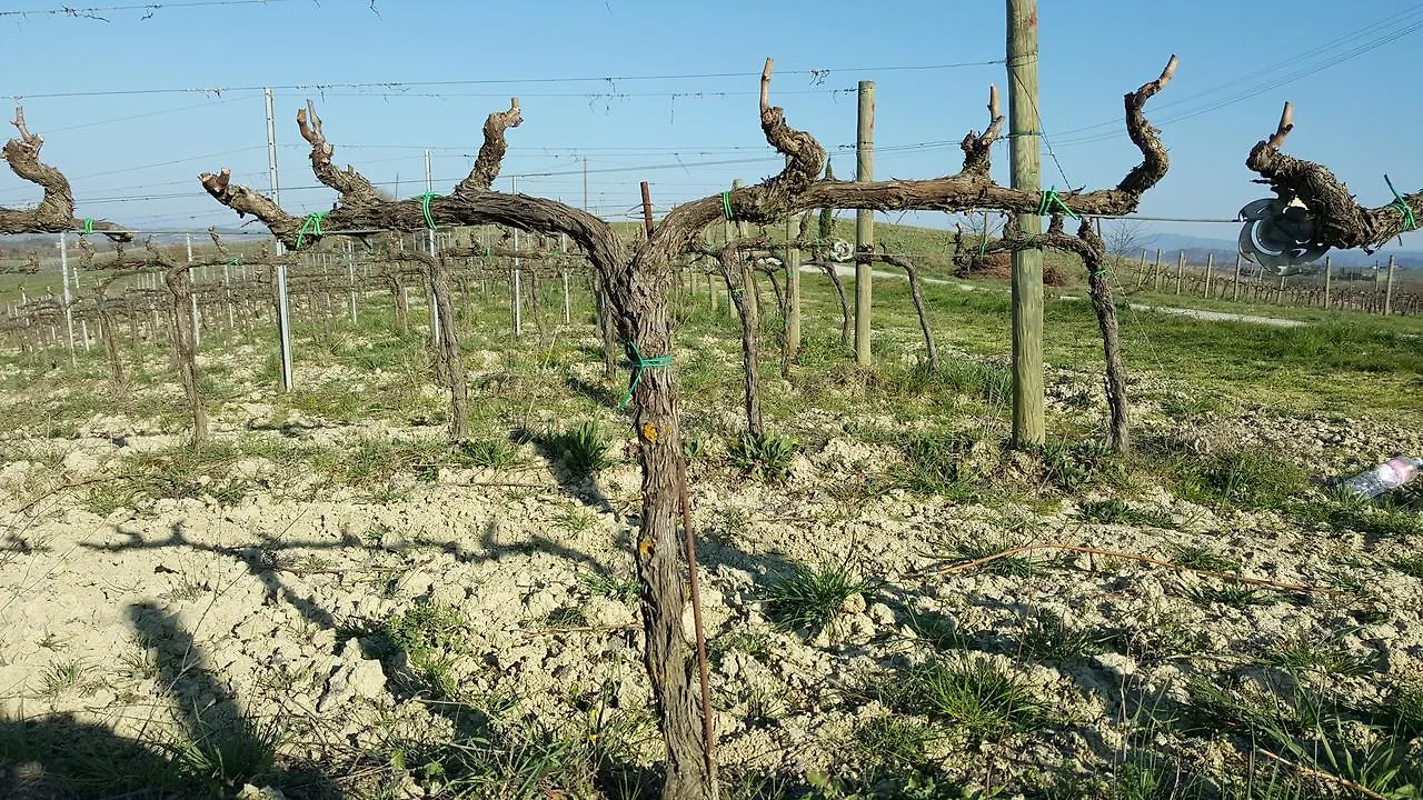 Agriturismo Podere Casa al Vento Montepulciano Stazione Alloggio per agriturismo