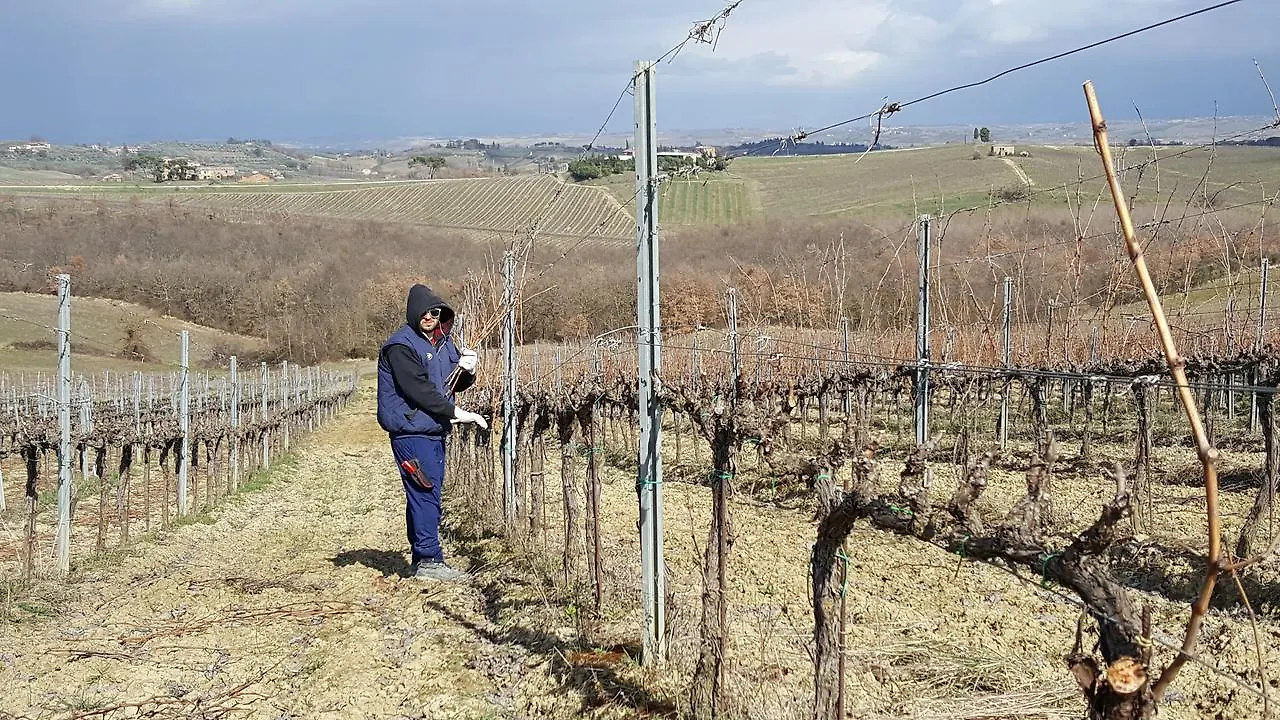 Alloggio per agriturismo Agriturismo Podere Casa al Vento Montepulciano Stazione